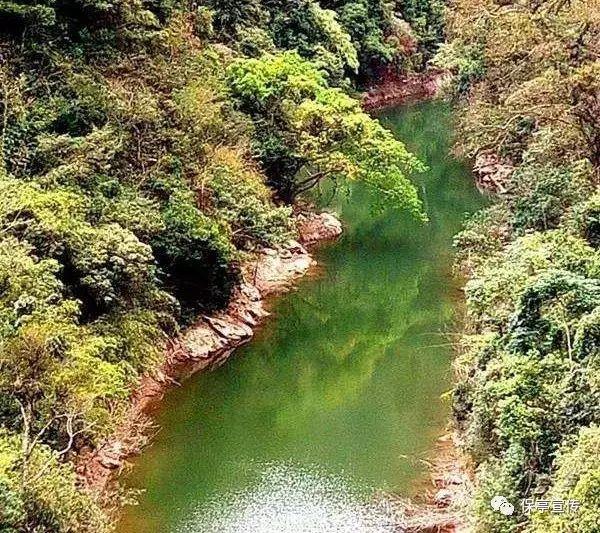 拯救红色方块